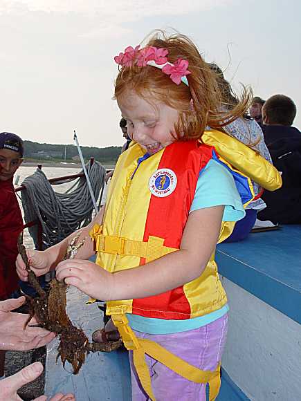 Fun on the MV SKipper Felix Neck charter