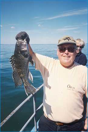 Caught on MV Skipper: Black sea bass!